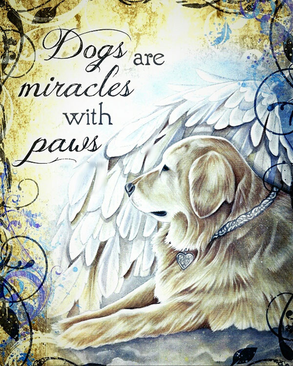 Dogs are Mirales with Paws